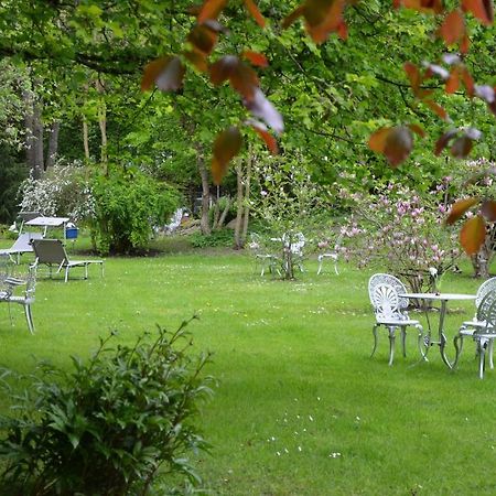 Hotel Villa Konigin Luise Bad Pyrmont Dış mekan fotoğraf